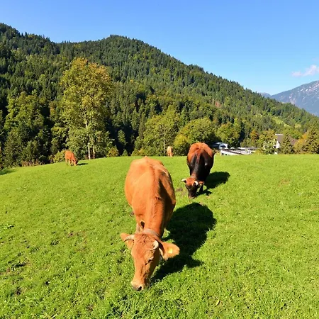 Graseck - Mountain Hideaway & Health Care 4* جارمش بارتنكيرشن