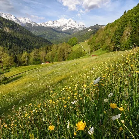 Graseck - Mountain Hideaway & Health Care 4* جارمش بارتنكيرشن