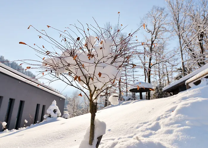 酒店 Graseck - Mountain Hideaway & Health Care 4*