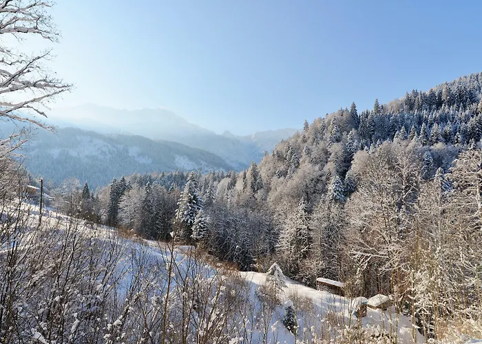 Graseck - Mountain Hideaway & Health Care 加爾米施-帕滕基興