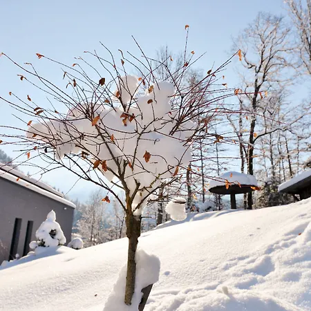 Hotel Graseck - Mountain Hideaway&health Care 4*