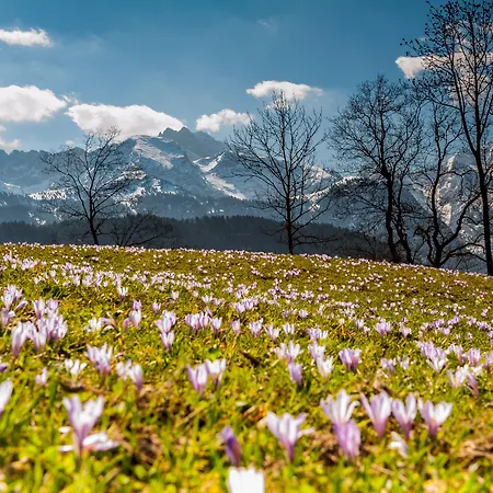 Graseck - Mountain Hideaway & Health Care 4* Garmisch-Partenkirchen