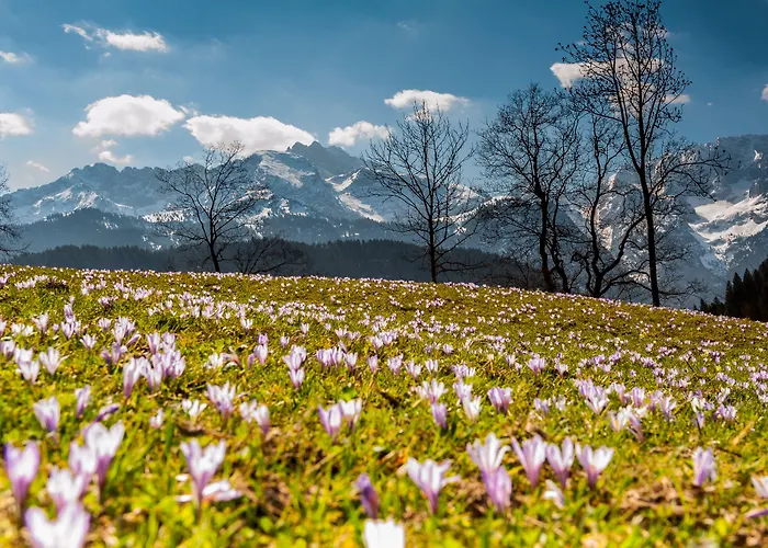 Graseck - Mountain Hideaway & Health Care 4* Garmisch-Partenkirchen